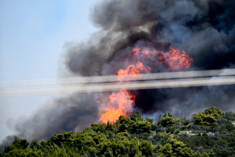 Φωτιά στις Κεχριές Κορινθίας: Εκκενώθηκε κι άλλος οικισμός και κατασκήνωση – Γιγαντιαία επιχείρηση της Πυροσβεστικής