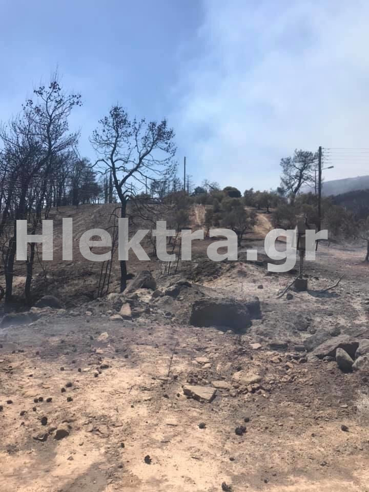 Φωτιά: Τεράστια καταστροφή στις Κεχριές -Πάνω από 30.000 στρέμματα έχουν καεί - ΚΟΡΙΝΘΙΑ
