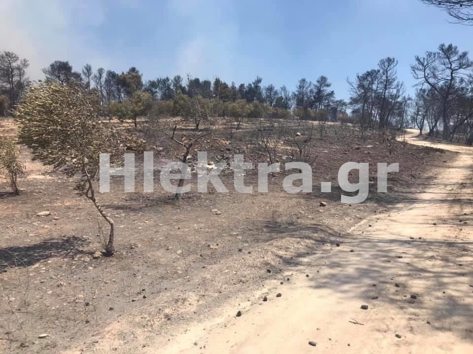 Αθίκια: Εικόνες καταστροφής μετά τη φωτιά - Αποκλειστικό - ΚΟΡΙΝΘΙΑ
