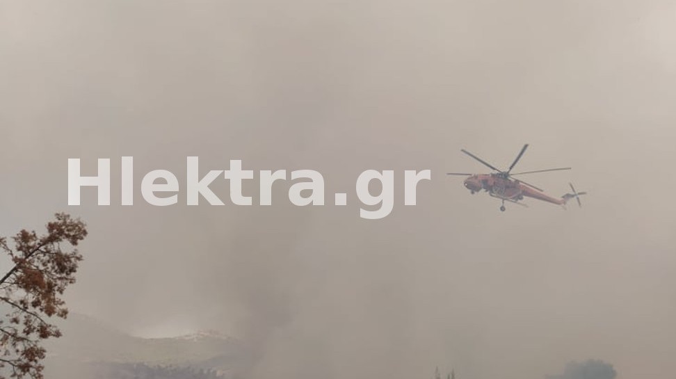 Φωτιά στις Κεχριές: Μάχη με τις φλόγες - Καταγγελίες για εμπρησμό - ΚΟΡΙΝΘΙΑ