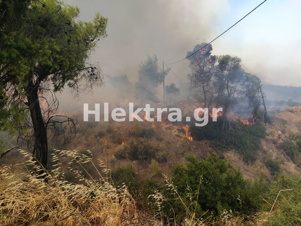Μάχη με τις φλόγες στην Κόρινθο: Κάηκαν σπίτια - Εκκενώνονται και άλλοι οικισμοί - ΚΟΡΙΝΘΙΑ