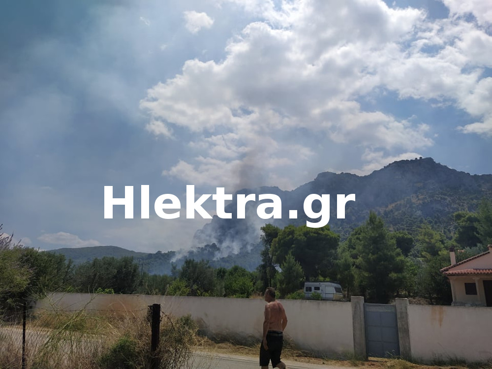 Αποκλειστικές εικόνες και βίντεο για την φωτιά στις Κεχριές - ΚΟΡΙΝΘΙΑ