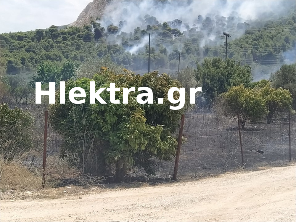 Αποκλειστικές εικόνες και βίντεο για την φωτιά στις Κεχριές - ΚΟΡΙΝΘΙΑ