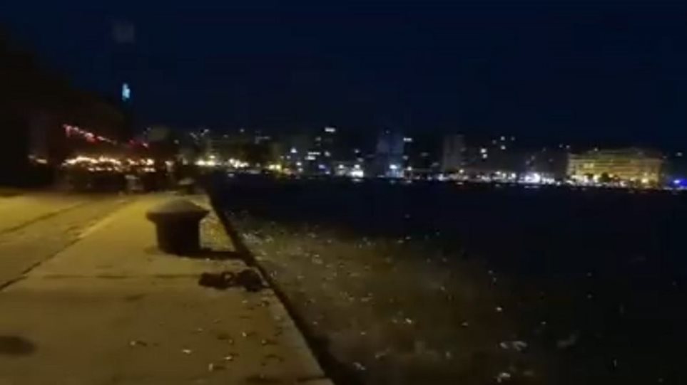 Απίστευτο: Ψάρια βγήκαν στην στεριά στο λιμάνι στη Θεσσαλονίκη - ΠΕΡΙΕΡΓΑ