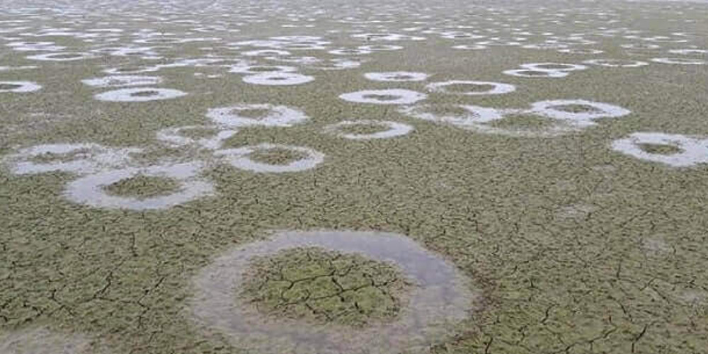 Μυστήριο στη λίμνη Κερκίνη: Εκατοντάδες τέλειοι κύκλοι εμφανίσθηκαν στον πυθμένα [Βίντεο] - ΕΛΛΑΔΑ
