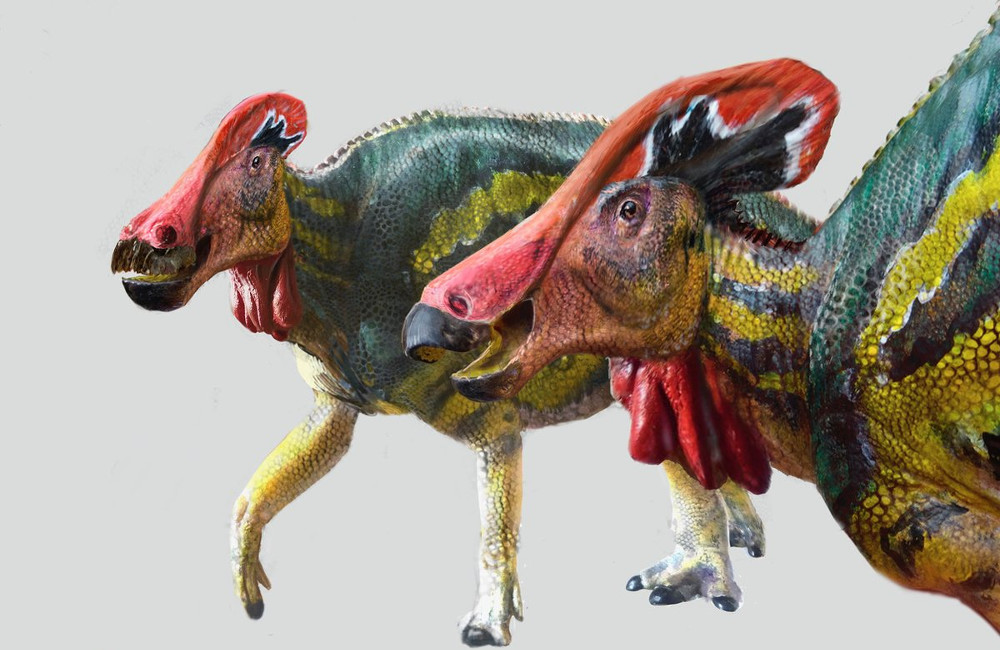 Τρομερή ανακάλυψη στο Μεξικό: Αναγνωρίστηκε νέο είδος δεινοσαύρων - ΠΕΡΙΕΡΓΑ