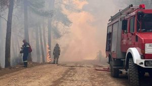 Φωτιά στο Σχίνο: Δεύτερη νύχτα πύρινης κόλασης – Εκκενώνονται και άλλοι οικισμοί – Δύσκολες ώρες για τα Μέγαρα - ΕΛΛΑΔΑ