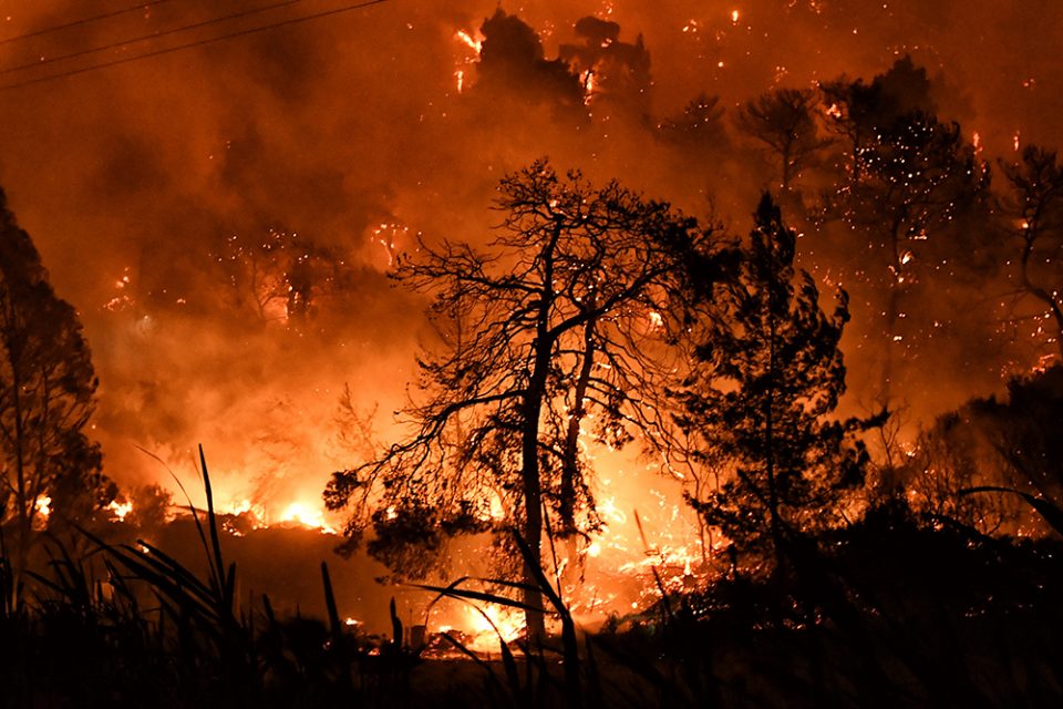 Φωτιά στο Σχίνο: Οι συνθήκες που προκάλεσαν τη γρήγορη εξάπλωση της καταστροφικής πυρκαγιάς - ΕΛΛΑΔΑ