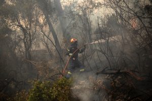 Φωτιά στην Κορινθία: Συνεχίζεται η μάχη με τις αναζωπυρώσεις - Πού εντοπίζεται το μεγαλύτερο πρόβλημα - ΕΛΛΑΔΑ