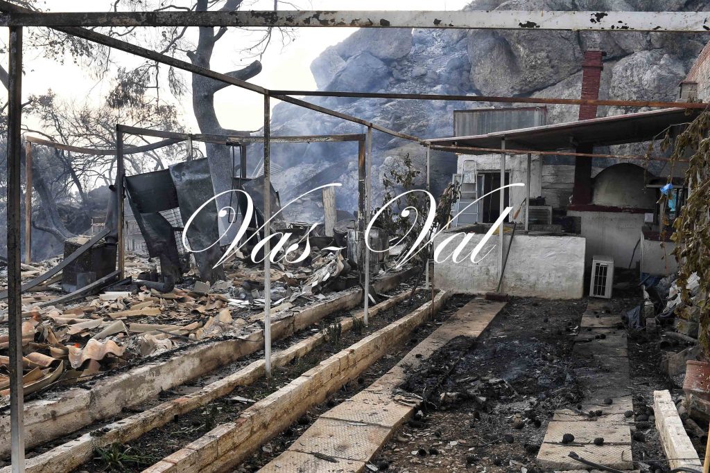 Φωτιά στο Σχίνο: Ανεξέλεγκτη η πυρκαγιά στην Κοκκιναρέα - Εντολή να υποχωρήσουν οι επίγειες δυνάμεις της Πυροσβεστικής - ΕΛΛΑΔΑ