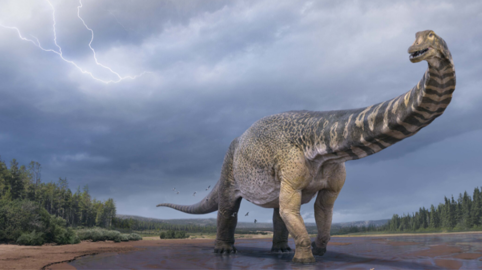 «Αυστραλοτιτάν» Ανακαλύφθηκε δεινόσαυρος που είχε μήκος όσο ένα γήπεδο μπάσκετ και ύψος δύο ορόφων - ΠΕΡΙΕΡΓΑ