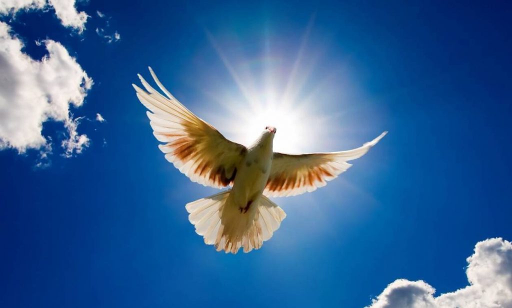 Αγίου Πνεύματος: Μεγάλη γιορτή για την Ορθοδοξία - Τι γιορτάζουμε - ΕΚΚΛΗΣΙΑ
