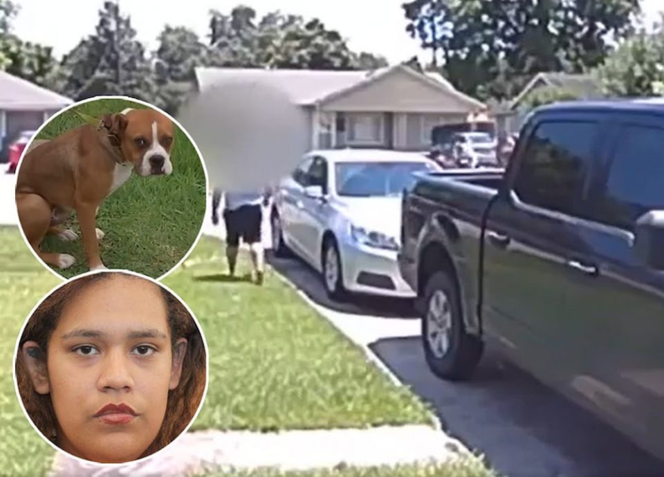 Τέξας: Ήθελε να πυροβολήσει τον σκύλο του γείτονα και πυροβόλησε τον γιο της - ΔΙΕΘΝΗ