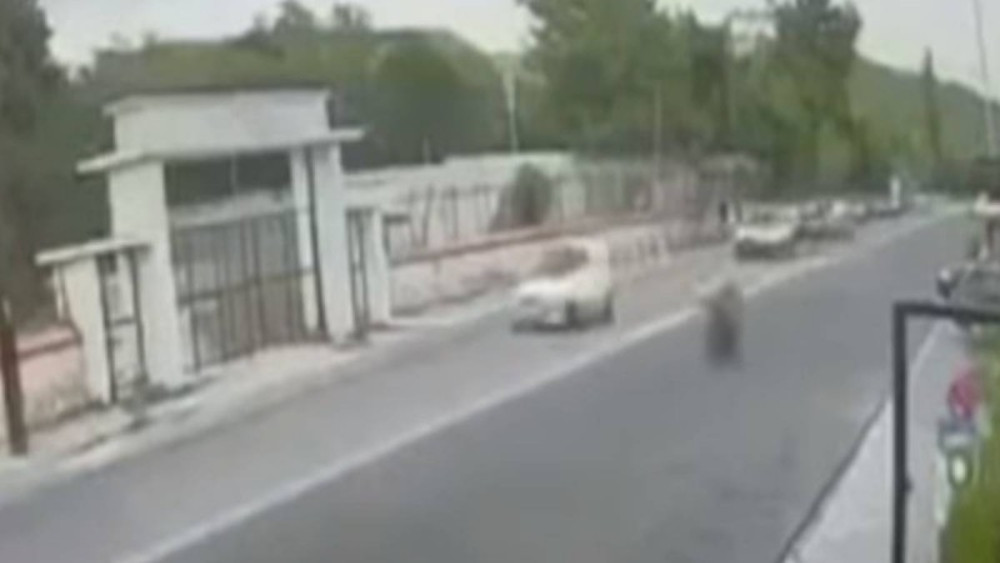 Καβάλα: Σοκαριστικό βίντεο από το τροχαίο με τους τρεις νεκρούς - ΕΛΛΑΔΑ