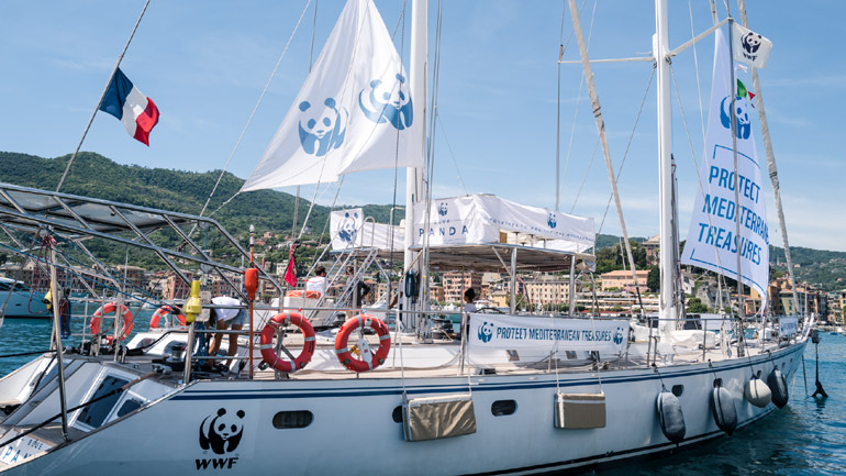 Το ιστιοπλοϊκό του WWF ταξιδεύει στη Μεσόγειο αναδεικνύοντας την ανάγκη προστασίας της - ΕΛΛΑΔΑ