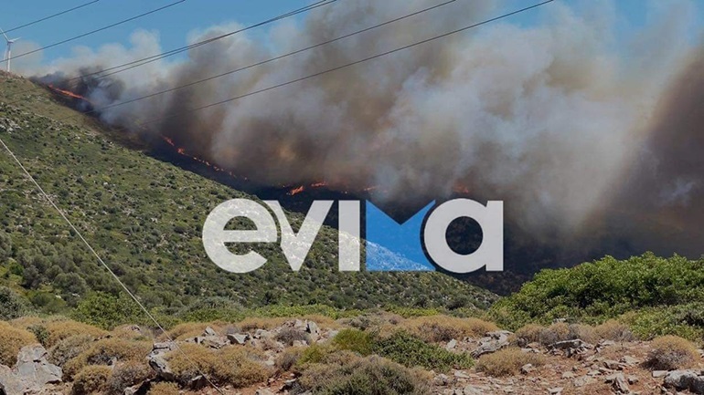 Νέα φωτιά στα Μεσοχώρια Καρύστου στην Εύβοια - ΕΛΛΑΔΑ