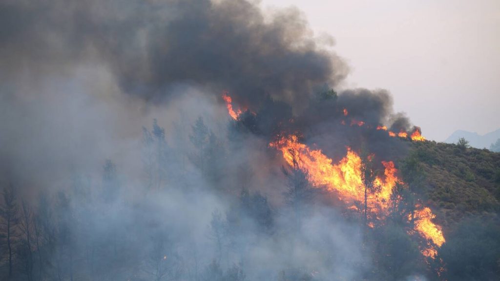 Φωτιές: Αναλυτικά τα μέτρα ανακούφισης και στήριξης των πυρόπληκτων - ΕΛΛΑΔΑ