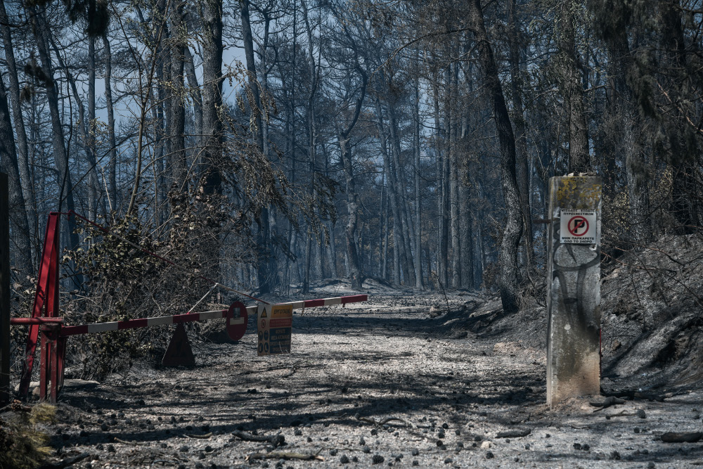 Πυρκαγιές: Σοκαριστικές εκτιμήσεις για πάνω από 270.000 καμένα στρέμματα σε Αττική και Εύβοια - ΕΛΛΑΔΑ