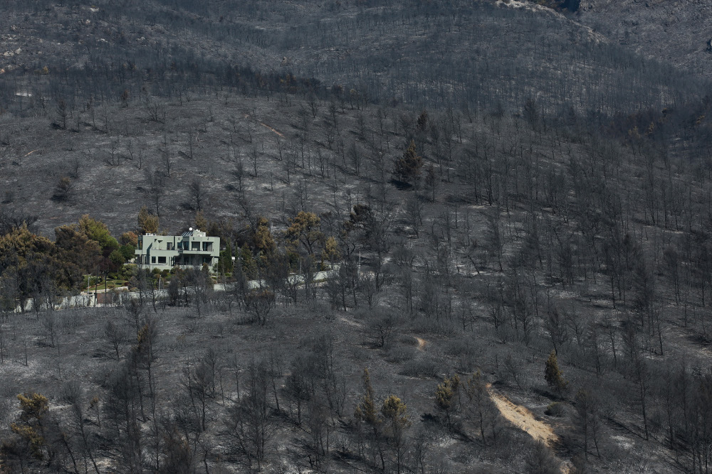 Πυρκαγιές: Οικολογική καταστροφή με περισσότερα από 650.000 στρέματα καμένα σε όλη τη χώρα - ΕΛΛΑΔΑ