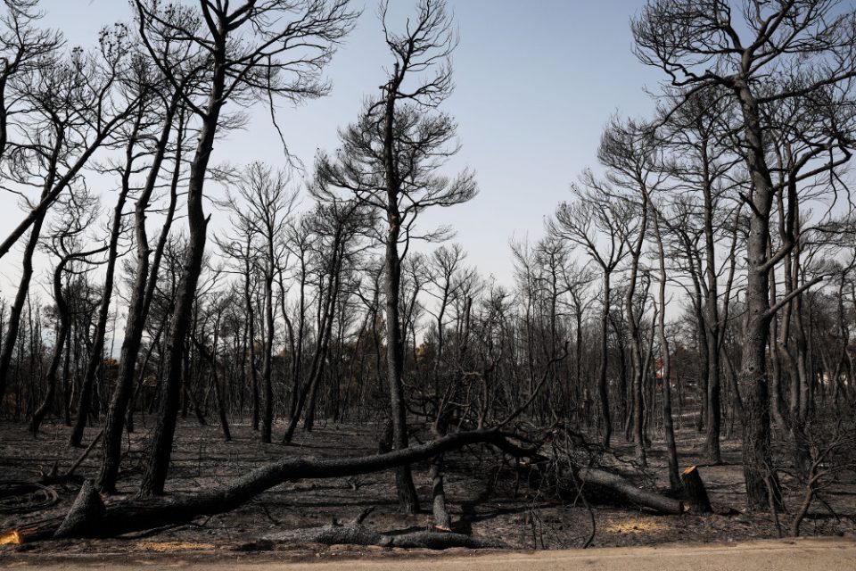 Meteo: Καμένο το ένα τρίτο των δασών της Εύβοιας από τις πυρκαγιές - ΕΛΛΑΔΑ