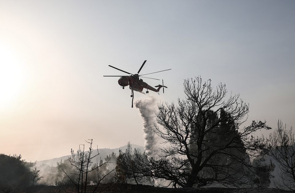 Χαρδαλιάς για φωτιά στη Βαρυμπόμπη: 12.500 στρέμματα έγιναν στάχτη, 76 σπίτια με σοβαρές ζημιές, 82 αυτοκίνητα κάηκαν ολοοσχερώς - ΕΛΛΑΔΑ