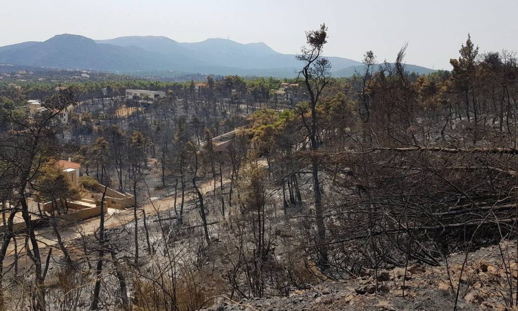 Φωτιές στην Ελλάδα – Πυρόπληκτοι: Πότε θα ανοίξει η πλατφόρμα για τις αποζημιώσεις - ΟΙΚΟΝΟΜΙΑ