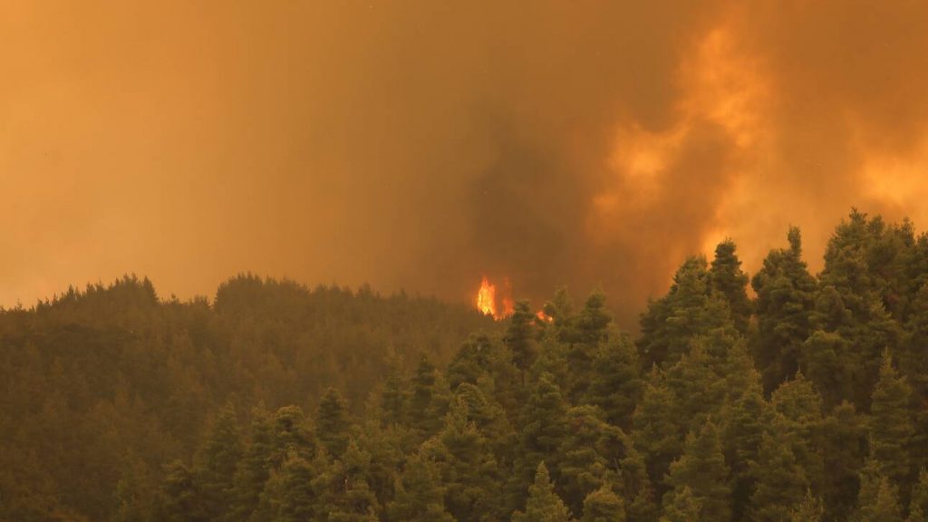Πολύ υψηλός κίνδυνος πυρκαγιάς και αύριο σε Αττική, Εύβοια, Λακωνία και Βόρειο Αιγαίο - ΕΛΛΑΔΑ