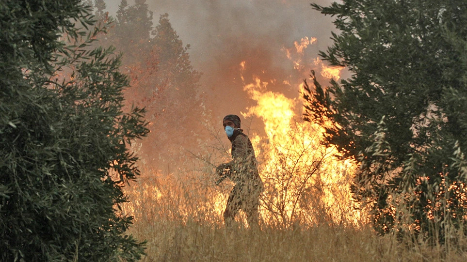 Πολύ υψηλός κίνδυνος πυρκαγιάς για 4 Περιφέρειες - ΕΛΛΑΔΑ