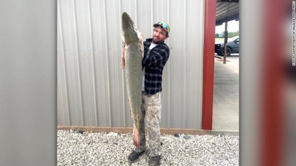 Ένα ψάρι- αλιγάτορας βρέθηκε για πρώτη φορά σε ποταμό του Κάνσας - ΠΕΡΙΕΡΓΑ