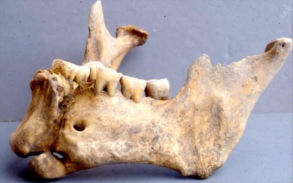 Καβάλα: Ανακαλύφθηκε αποκεφαλισμένος βυζαντινός πολεμιστής με σαγόνι δεμένο με χρυσό σύρμα (pics) - ΠΕΡΙΕΡΓΑ