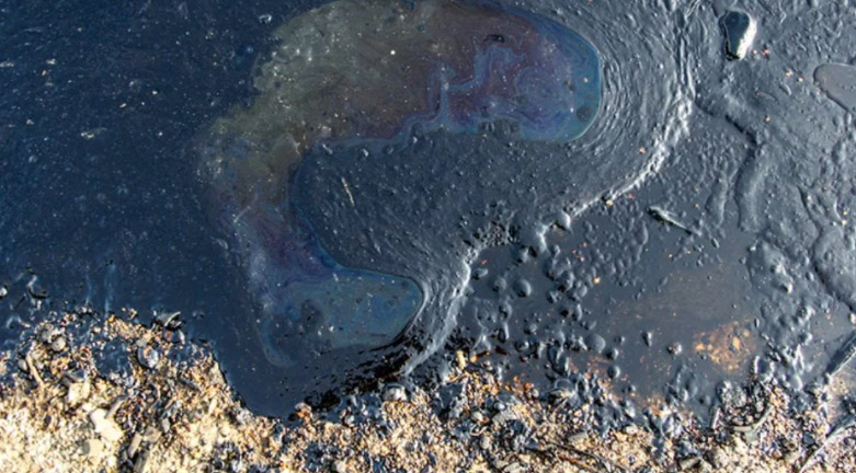 Αγωνία για τη ρύπανση από πετρελαιοκηλίδα στις ακτές της Καλιφόρνιας - ΔΙΕΘΝΗ