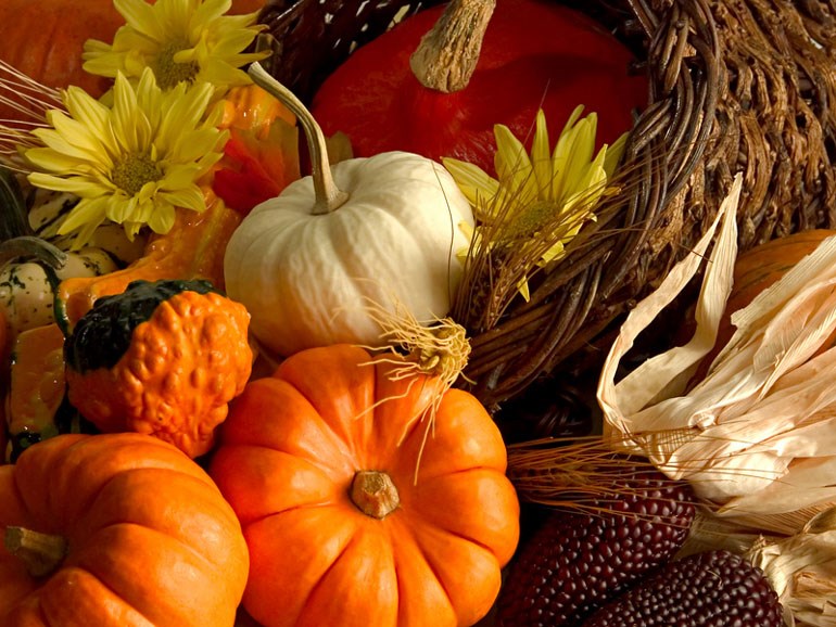 Τι είναι η «Ημέρα των Ευχαριστιών» που γιορτάζεται στις ΗΠΑ - ΠΟΛΙΤΙΣΜΟΣ