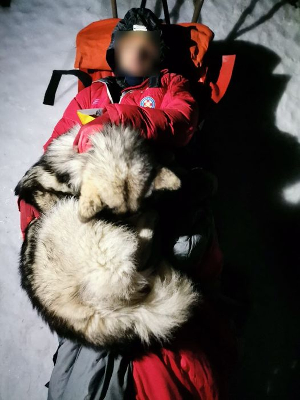 Σκύλος ζέσταινε με το σώμα του τραυματισμένο ορειβάτη για 13 ώρες - ΔΙΕΘΝΗ