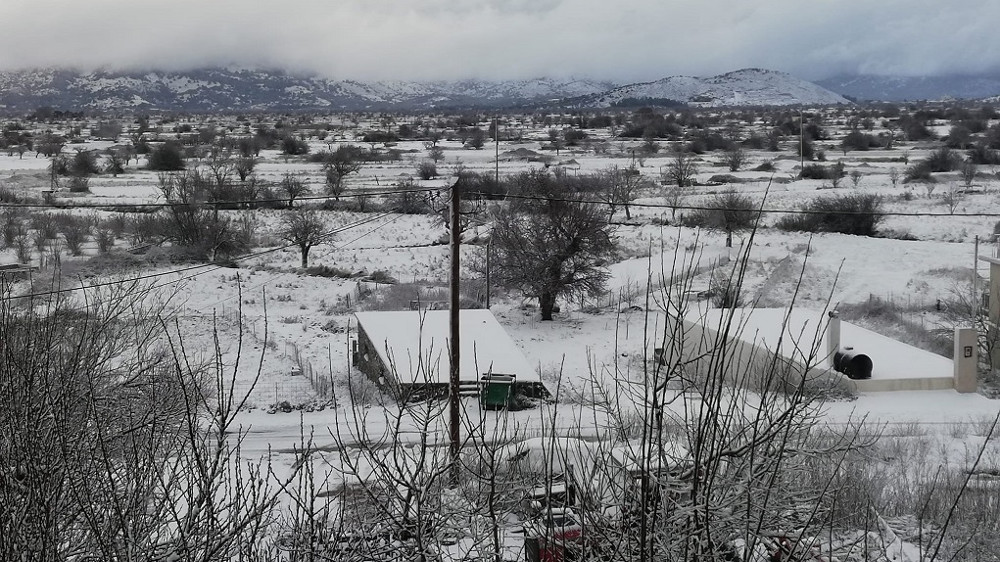 Κρήτη: Χιονίζει από το βράδυ του Σαββάτου – Με αλυσίδες η κίνηση στο Οροπέδιο Λασιθίου - ΕΛΛΑΔΑ