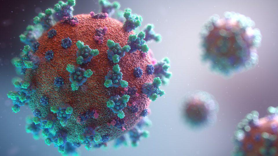 Μελέτη: Ο ιός Επστάιν-Μπαρ «ενοχοποιείται» ως αιτία της πολλαπλής σκλήρυνσης - ΥΓΕΙΑ