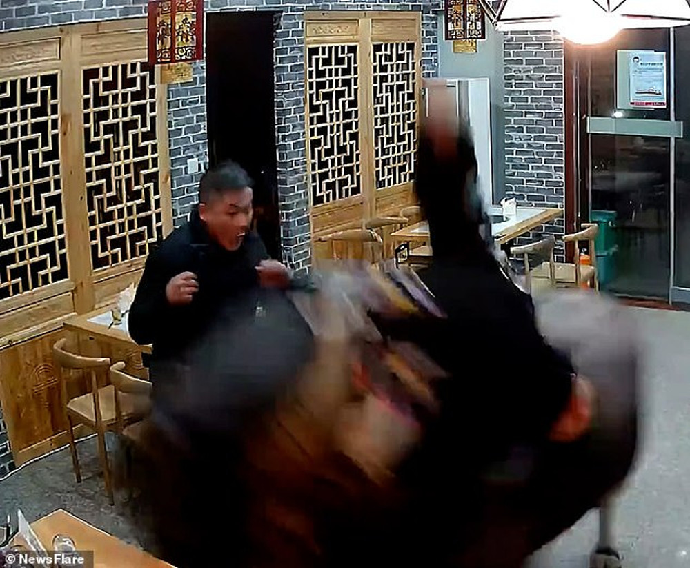 Εισβολή βουβαλιού σε εστιατόριο – Σηκώνει τον πελάτη στον αέρα - ΔΙΕΘΝΗ