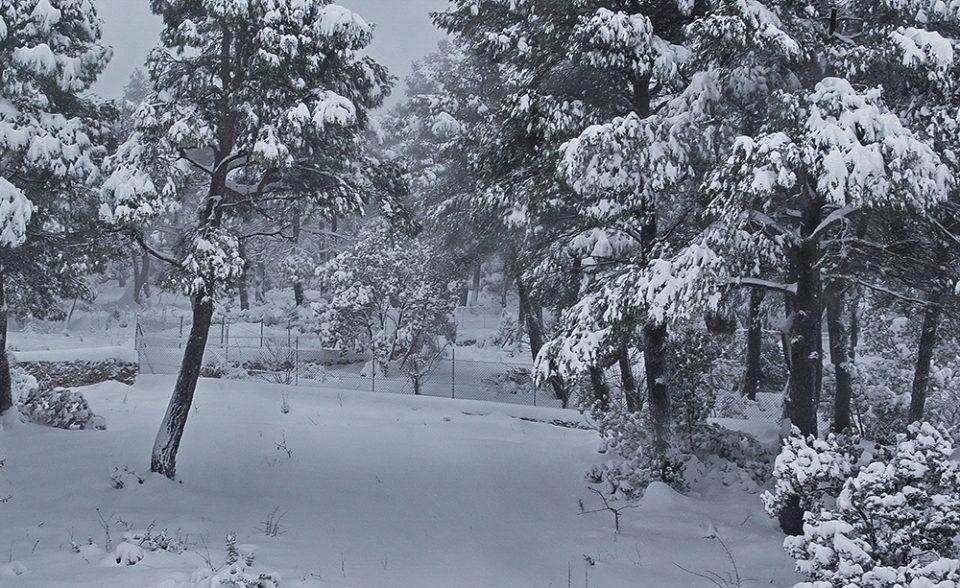 Μερομήνια: Έρχονται χιόνια και… βαρυχειμωνιά – Κακά μαντάτα για το Πάσχα - ΕΛΛΑΔΑ
