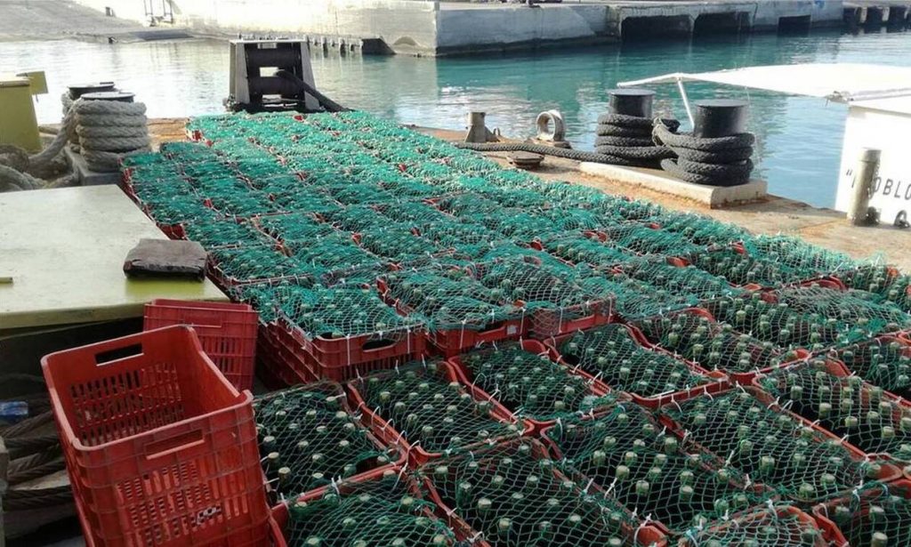 Ηράκλειο: Έριξαν 5.000 φιάλες κρασιού στην θάλασσα για παλαίωση - ΕΛΛΑΔΑ