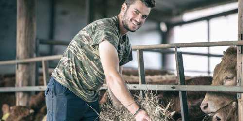 Γεωργαντάς: Θα δοθούν επιπλέον 28,5 εκατ. ευρώ στην Κρήτη για το πρόγραμμα των νέων αγροτών - ΕΛΛΑΔΑ