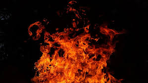 Συναγερμός από μεγάλη φωτιά στο νότιο Πήλιο - Πνέουν ισχυροί άνεμοι - ΕΛΛΑΔΑ