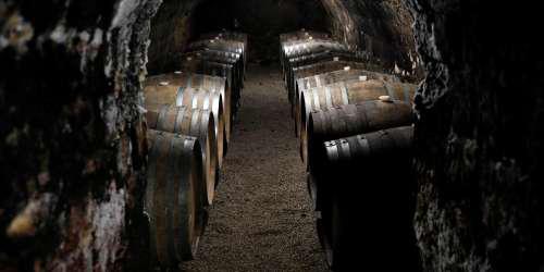 Αυξήθηκε η ελληνική παραγωγή κρασιών το 2021 - Απογειώθηκαν οι εξαγωγές - ΕΛΛΑΔΑ