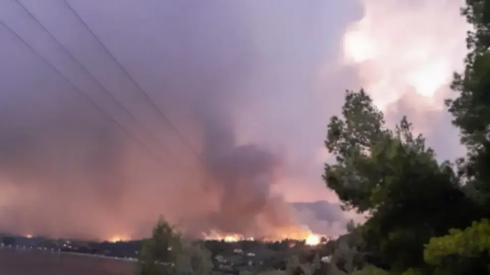 Φωτιά από κεραυνό στην Εύβοια κοντά στα Ψαχνά - Στις φλόγες χωματερή - ΕΛΛΑΔΑ