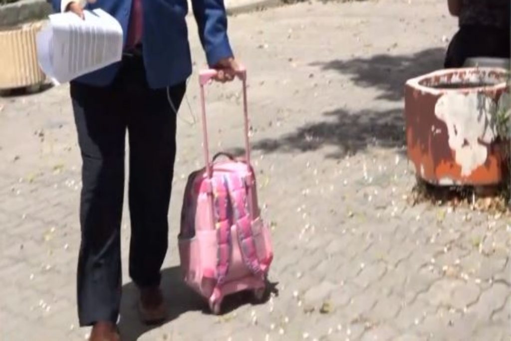 Πάτρα: «Βόμβα» από την ιατροδικαστή Χριστίνα Τσάκωνα, τι ζητά – Στην ανακρίτρια η τσάντα της Τζωρτζίνας [βίντεο] - ΕΛΛΑΔΑ