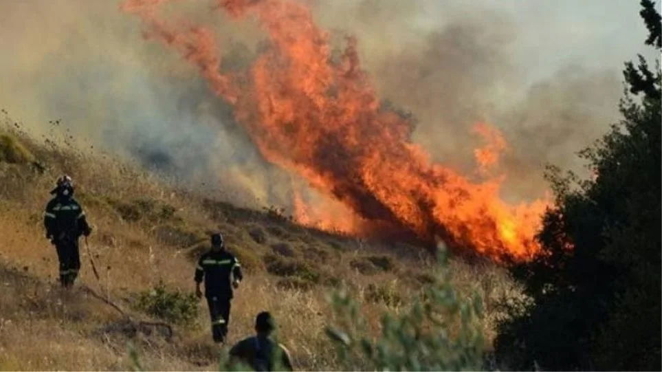 Μεγάλη φωτιά σε δασική έκταση στη Χαλκιδική - Επιχειρούν αεροσκάφη - ΕΛΛΑΔΑ