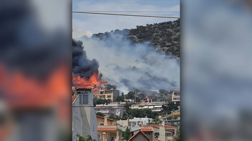 Υπό έλεγχο η φωτιά στην Αρτέμιδα - Δείτε βίντεο - ΕΛΛΑΔΑ