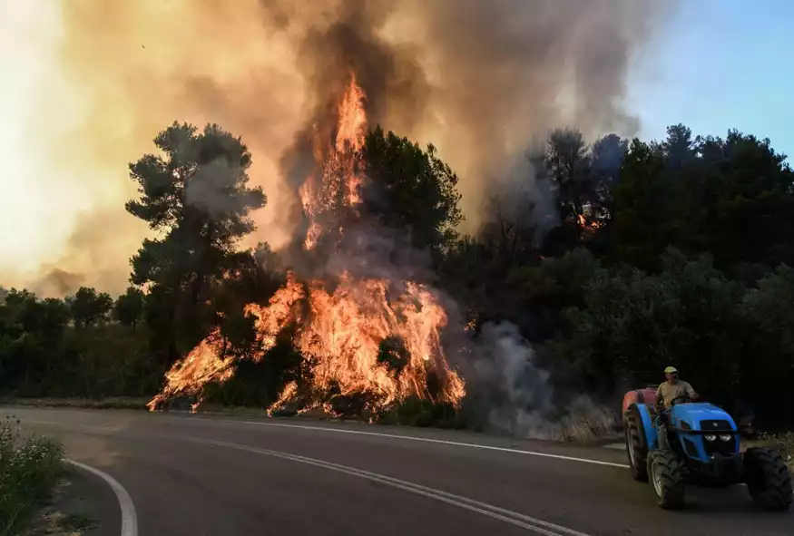 ΗΠΑ: Πυρκαγιά εξαπλώνεται εκτός ελέγχου προς το Εθνικό Πάρκο Γιοσέμιτι - ΔΙΕΘΝΗ