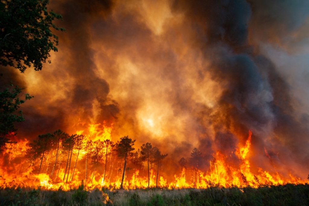 Φλέγεται η Ευρώπη: Εκατοντάδες νεκροί από τον καύσωνα και mega-πυρκαγιές - ΔΙΕΘΝΗ