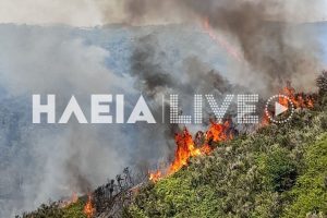 Μεγάλη φωτιά στην Ηλεία - Τραυματίστηκε πυροσβέστης - ΠΕΛΟΠΟΝΝΗΣΟΣ