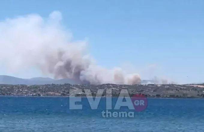 Συναγερμός στην Πυροσβεστική: Φωτιά τώρα στο Πόρτο Γερμενό - ΕΛΛΑΔΑ