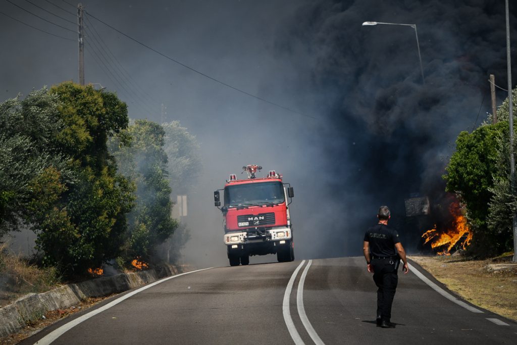 Υψηλός κίνδυνος πυρκαγιάς και σήμερα - Ποιες περιοχές είναι στο «πορτοκαλί» - ΕΛΛΑΔΑ
